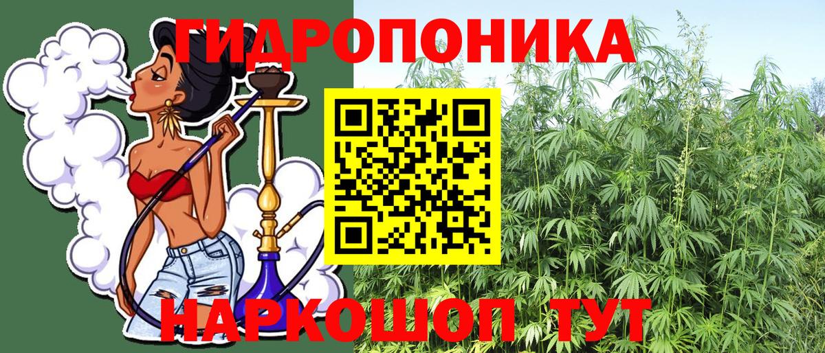 Конопля гибрид Коломна